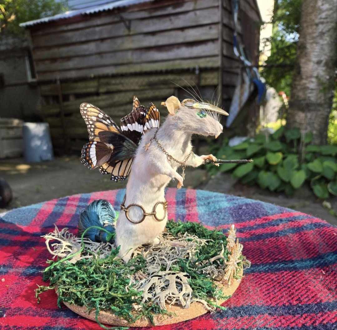 Tassel the Rat Fairy