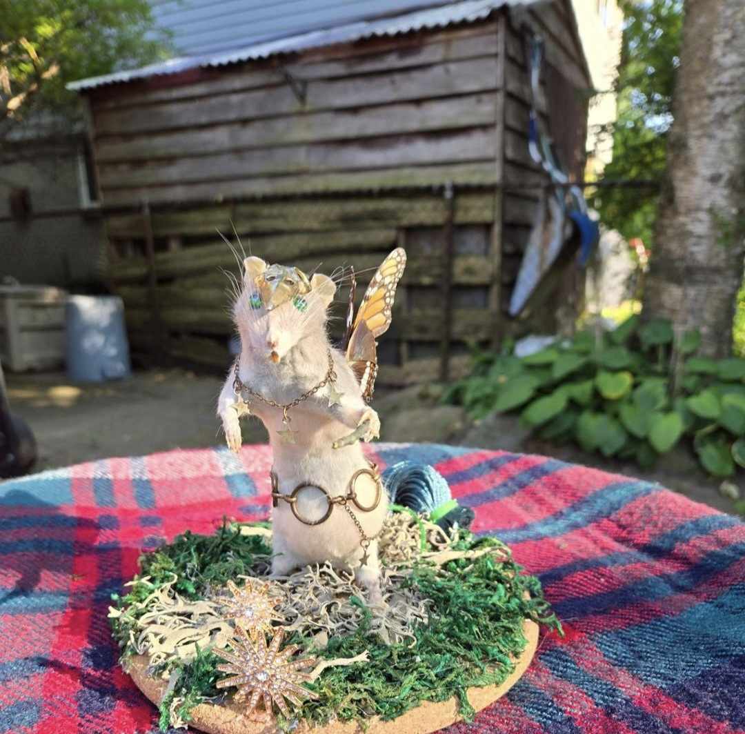 Tassel the Rat Fairy