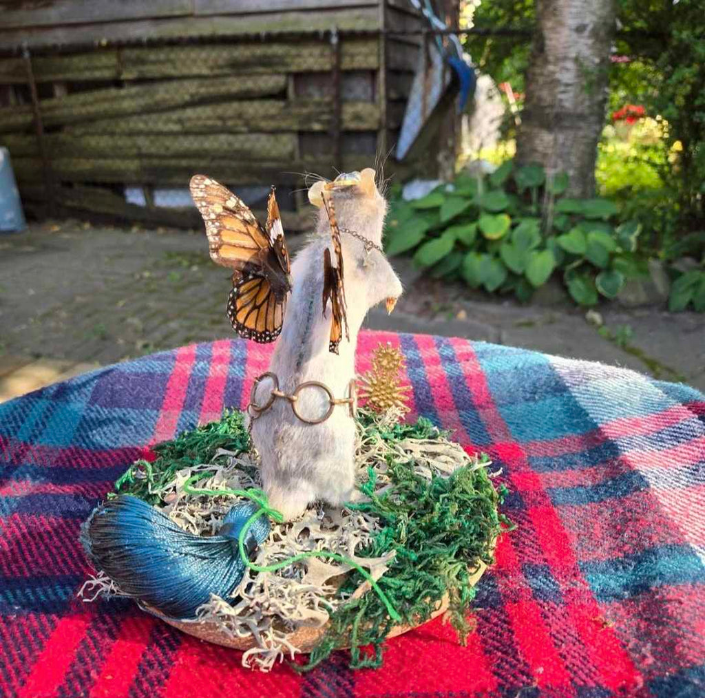 Tassel the Rat Fairy