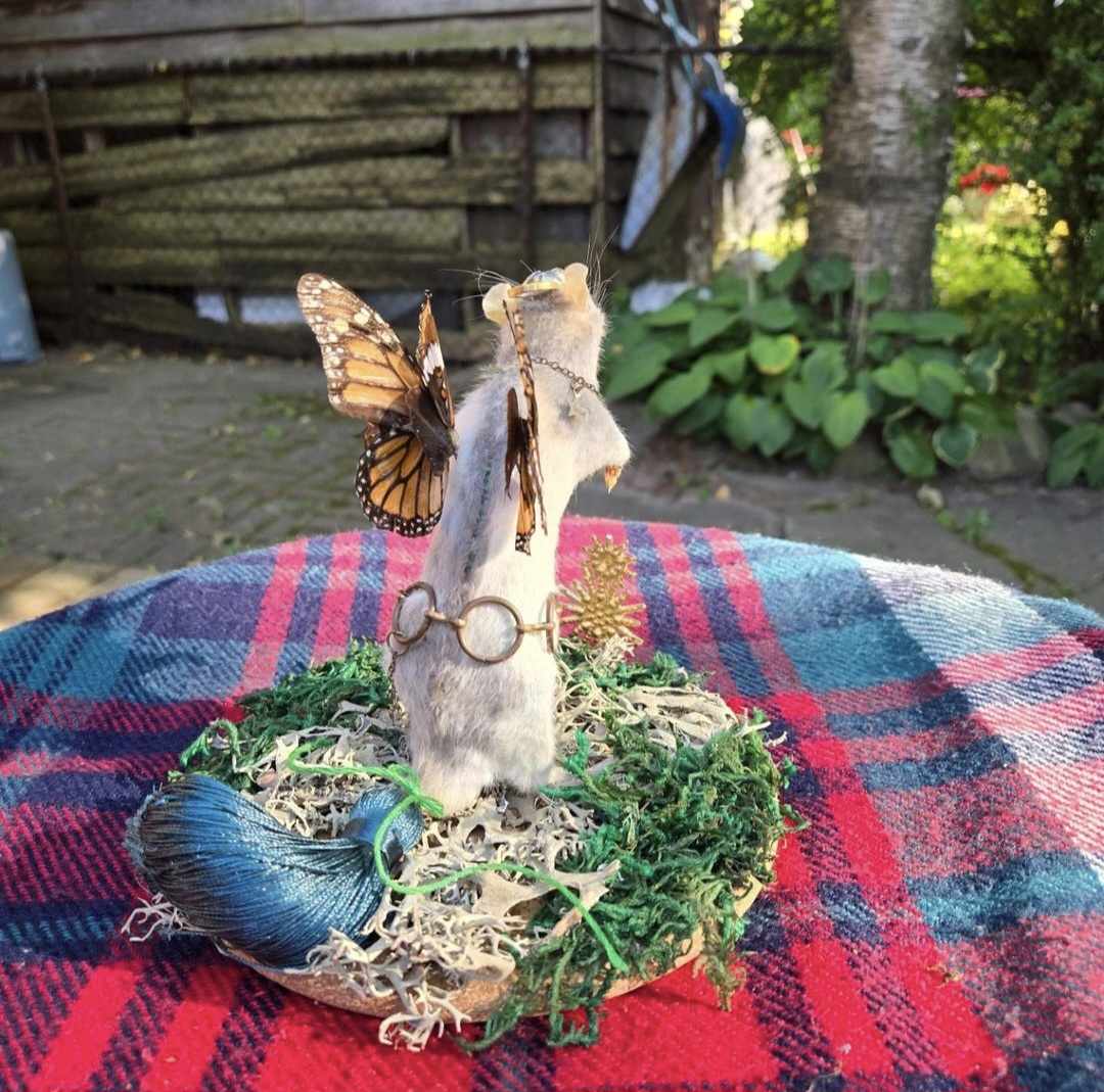 Tassel the Rat Fairy